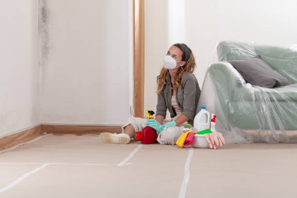 Reliable Mold Cleanup contractor in Waldwick, NJ by WQB Mold Removal